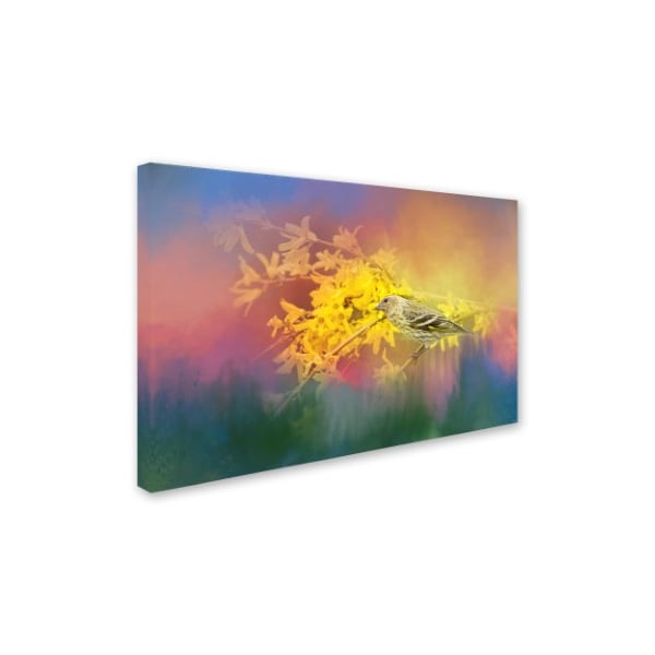 Jai Johnson 'Jewel In The Garden' Canvas Art,30x47